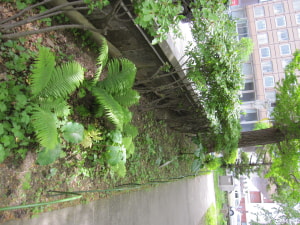 05.18東側