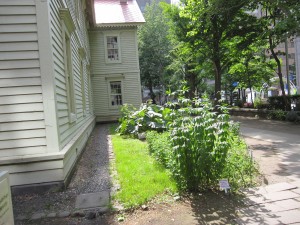 IMG_8833