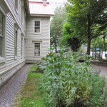 IMG_9406