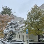 2025.11.08初積雪12センチ