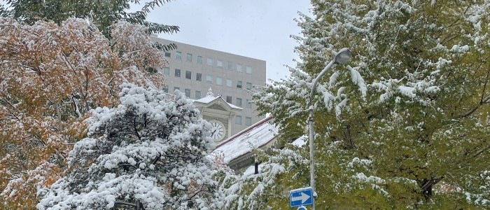 2025.11.08初積雪12センチ