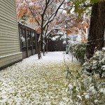 2025.11.08初積雪 (2)