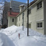 2026.20撮影19日猛吹雪の後